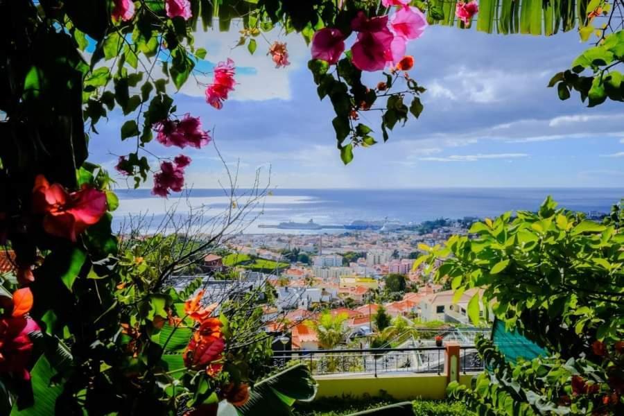 Granny'S House View Funchal (Madeira) Exterior foto