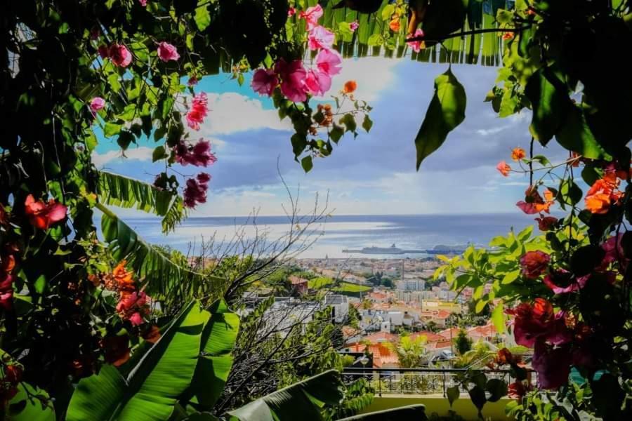 Granny'S House View Funchal (Madeira) Exterior foto